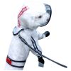 Pet Transparent Four-Foot Waterproof All-Pack Raincoat